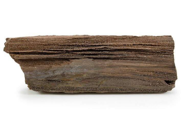 Permineralized Wood Covered In Sparkling Quartz - Germany #302090